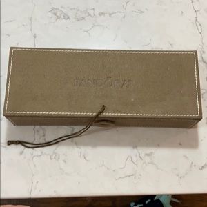 Pandora charm case